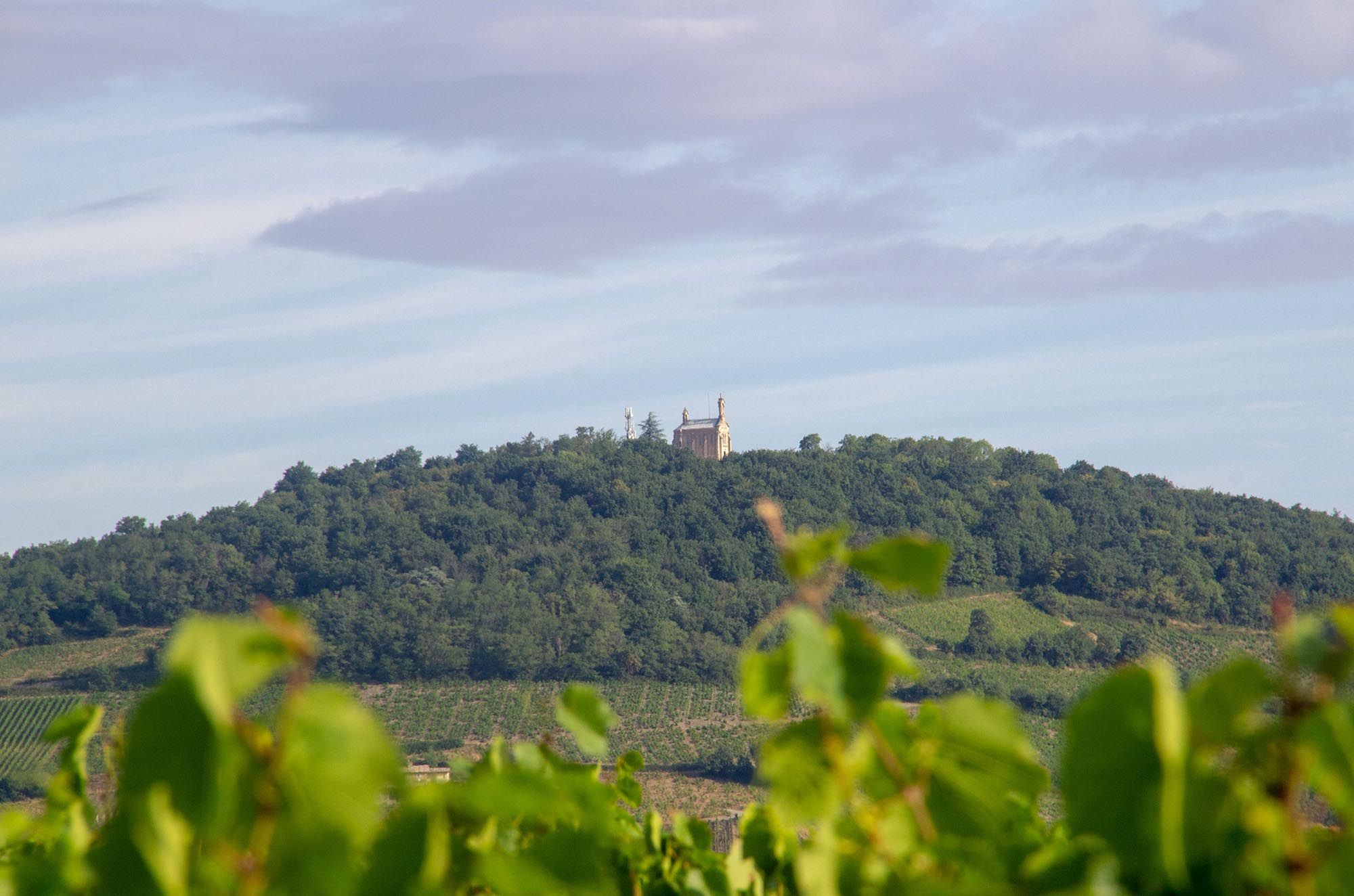 Domaine Tante Alice